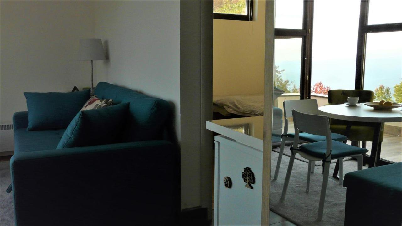 Apartman D52 Dvori 科帕奥尼克 外观 照片