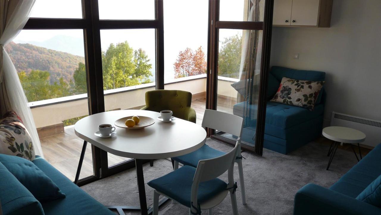 Apartman D52 Dvori 科帕奥尼克 外观 照片