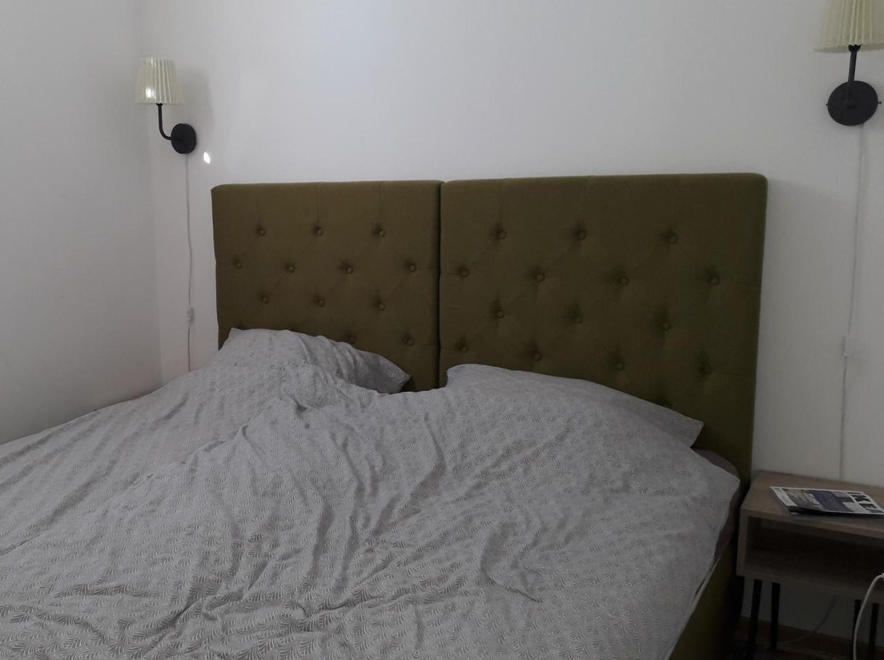 Apartman D52 Dvori 科帕奥尼克 外观 照片
